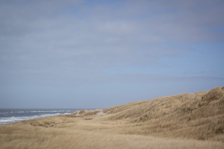 Sanddünen unter einem graublauen Himmel, mit dem Meer im Hintergrund.